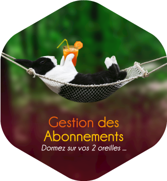 Gestion commerciale financiere abonnements removebg preview